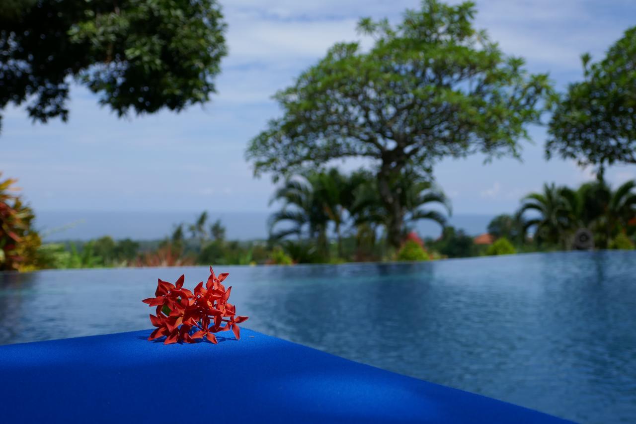 Puri Mangga Sea View Resort And Spa Lovina Exterior foto